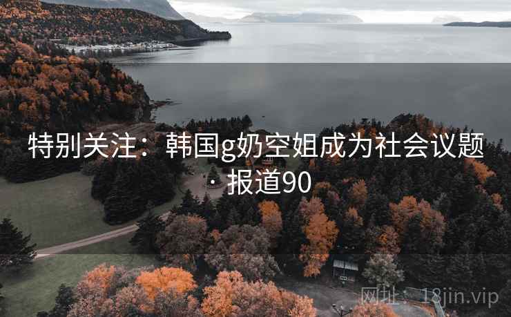 特别关注：韩国g奶空姐成为社会议题 · 报道90
