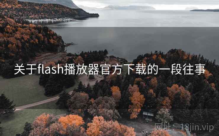 关于flash播放器官方下载的一段往事