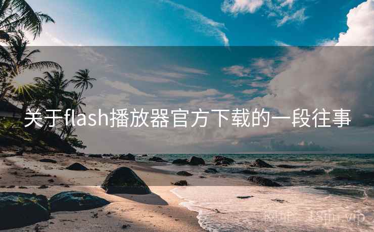 关于flash播放器官方下载的一段往事