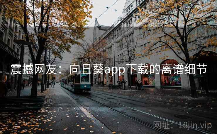 震撼网友:向日葵app下载的离谱细节